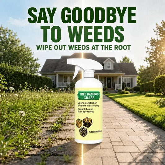 🌿🔥 Kill Weeds at the Root in Just 24 Hours!🌿