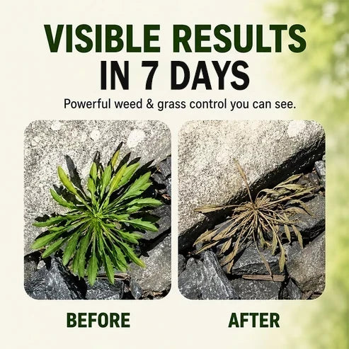 🌿🔥 Kill Weeds at the Root in Just 24 Hours!🌿