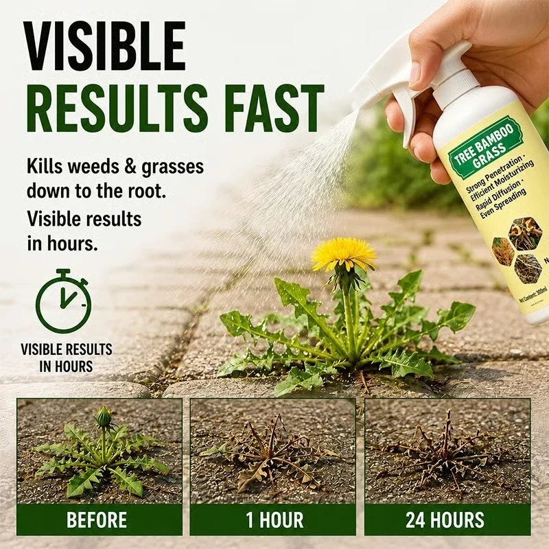 🌿🔥 Kill Weeds at the Root in Just 24 Hours!🌿
