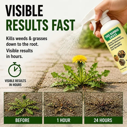 🌿🔥 Kill Weeds at the Root in Just 24 Hours!🌿